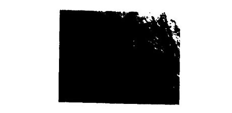 1582550271113453.jpg 未標(biāo)題-2.jpg